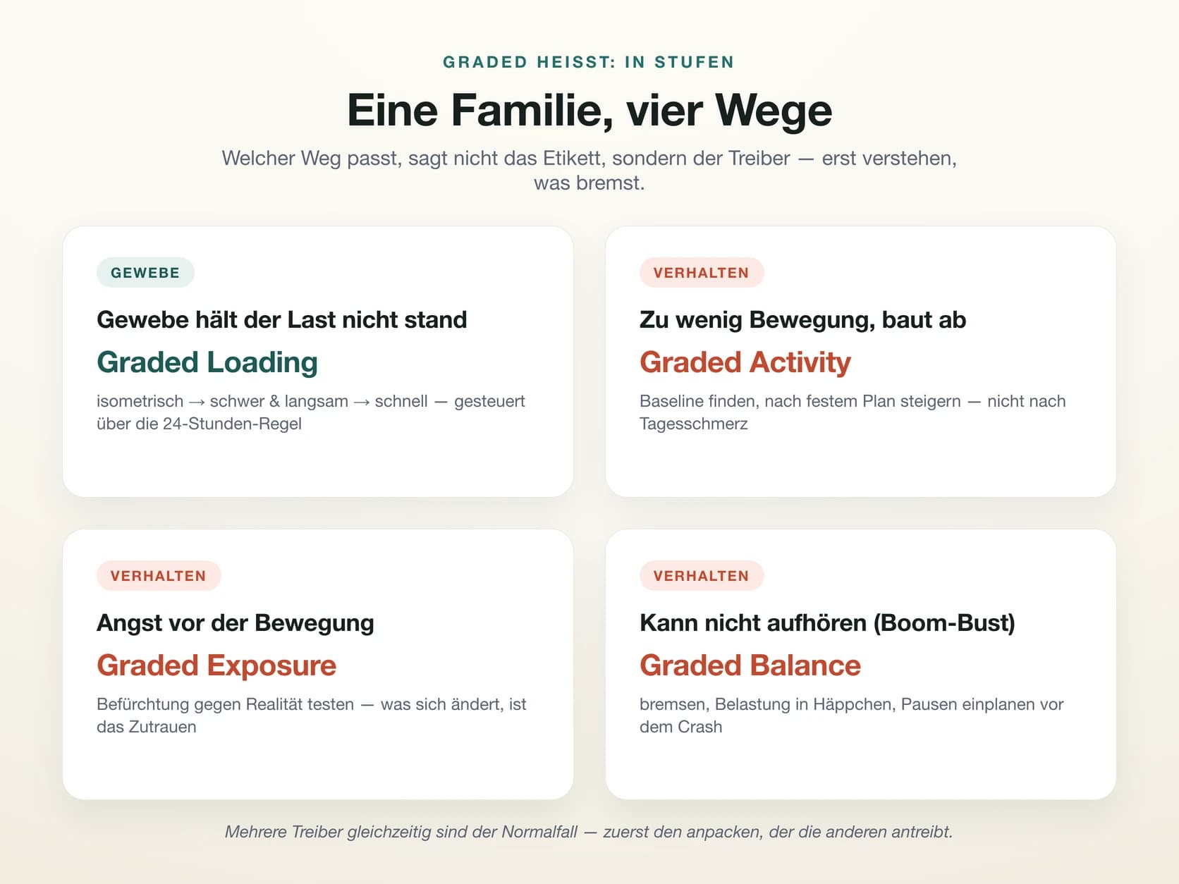 Vier Karten der Graded-Familie, geordnet nach Treiber: Graded Loading bei mangelnder Gewebekapazität, Graded Activity bei zu wenig Bewegung, Graded Exposure bei Bewegungsangst, Graded Balance beim Boom-Bust-Muster.