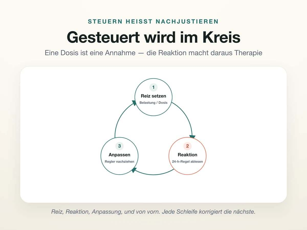 Regelkreis in vier Stationen: Reiz setzen, Reaktion ablesen, Dosis anpassen, und von vorn. Ein geschlossener Kreis, der zeigt, dass eine Therapie nicht auf einer geraden Linie läuft, sondern in Schleifen, die sich gegenseitig korrigieren.